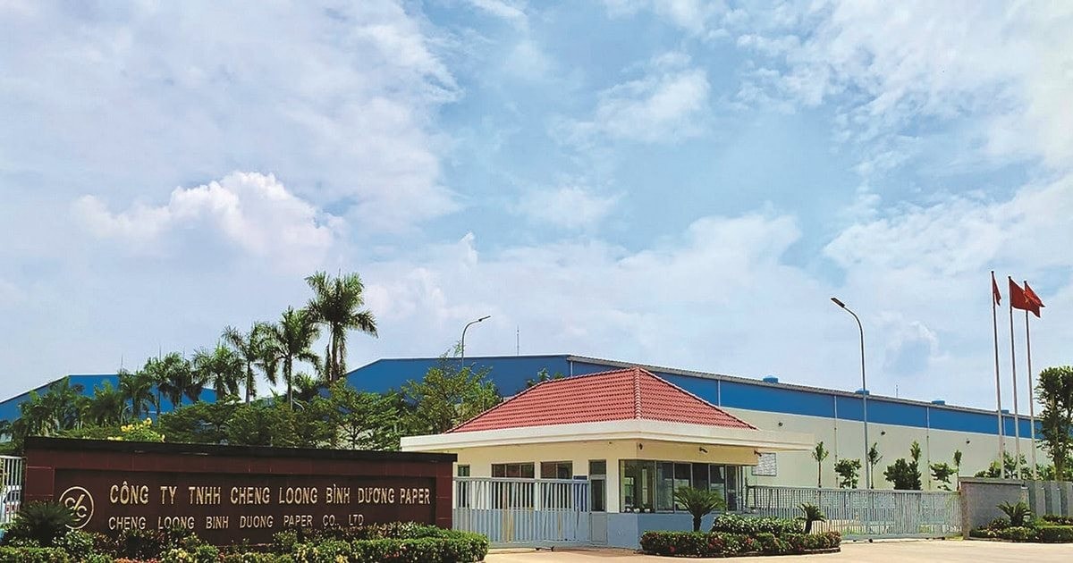 Nhà máy giấy Cheng Loong Bình Dương